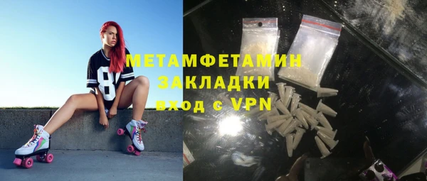 шишки Верея
