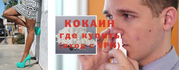 шишки Верея