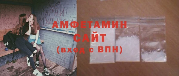 шишки Верея
