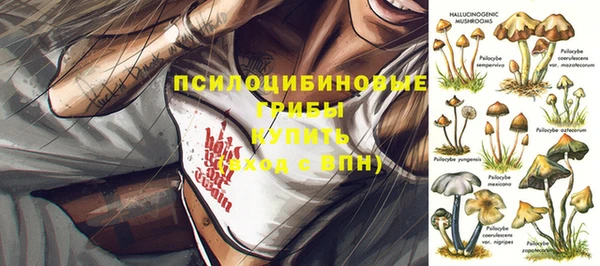 стафф Верхний Тагил