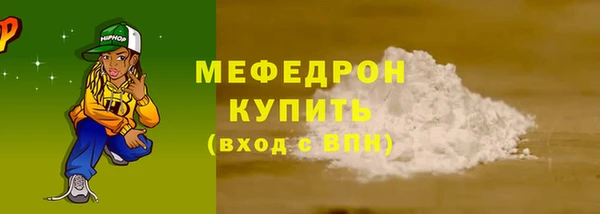шишки Верея