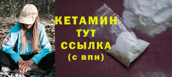 шишки Верея
