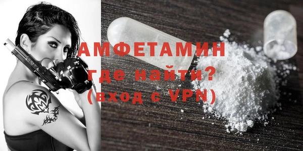 шишки Верея