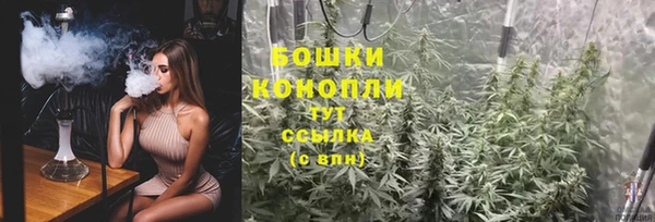 стафф Верхний Тагил