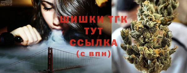 шишки Верея