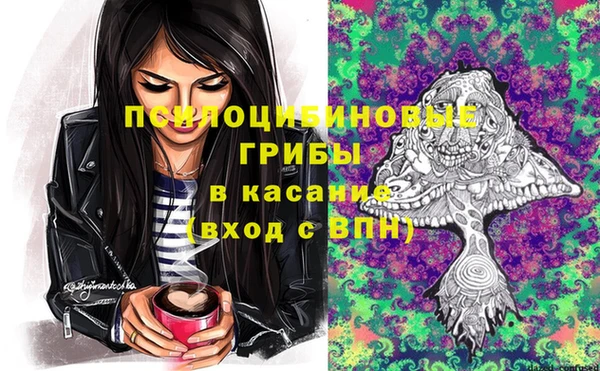 шишки Верея
