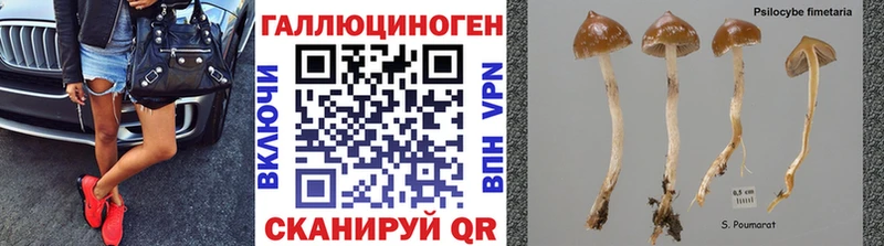 Псилоцибиновые грибы мухоморы  Улан-Удэ 